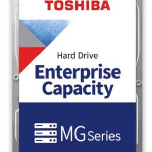 MG Series 3.5" 20000 GB