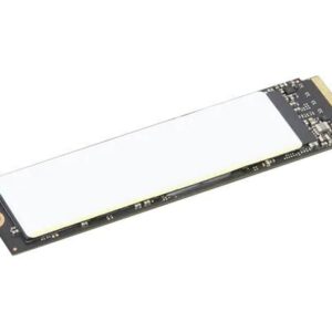 TP 1TB SSD PERFORM PCIE G4