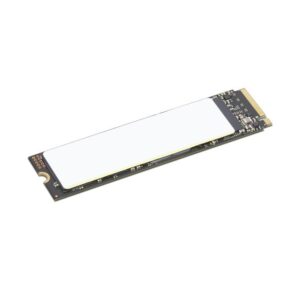 TP 512GB SSD PERFORM PCIE G4